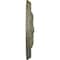 Ekena Millwork Amelia Ceiling Medallion (Fits Canopies up to 4 1/8"), 15 3/4"OD x 5/8"P, Witch Hazel Crackle CM16AMWHC - alternate 3